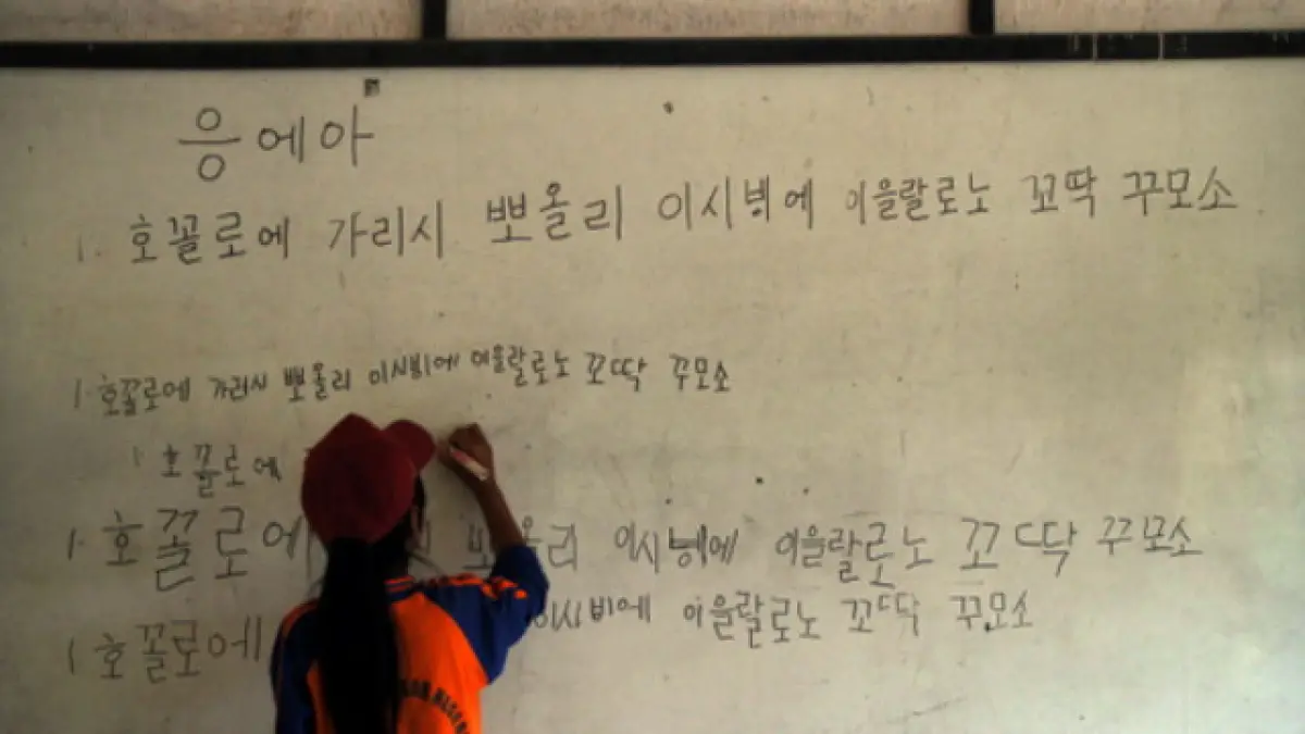 Penggunaan aksara Hangul Korea untuk bahasa Cia-Cia di Buton menjadi bukti fleksibilitas sistem tulisan. 