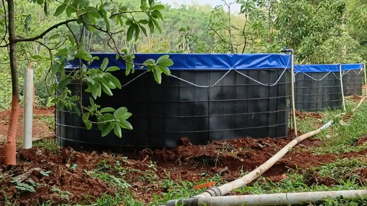 Kolam budi daya ikan yang difungsikan untuk pengairan kebun alpukat di Desa/Kecamatan Polokarto. (DOK. KADES POLOKARTO)