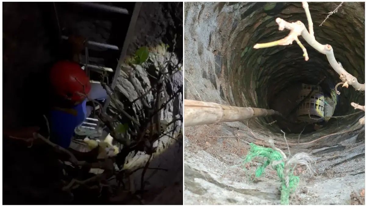 Personel Damkar Wonogiri mengevakuasi kucing yang terjebak di dalam sumur milik warga di Dusun Tempuran RT 01/RW 04, Desa Mlokomanis Kulon, Kecamatan Ngadirojo. (DOK.DAMKAR WONOGIRI)