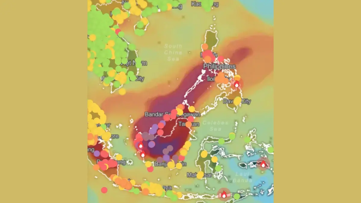 Kabut Asap Akibat Kebakaran Hutan dan Lahan (Karhutla) di Kalimantan Meluas Melintasi Batas Negara. 