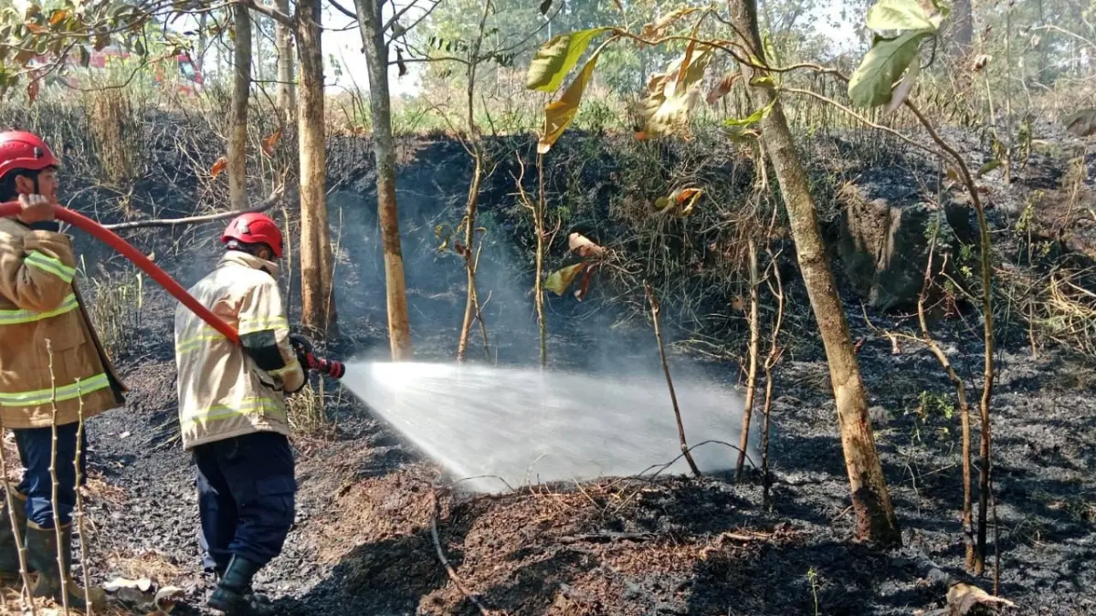 DIKEJAR WAKTU: Pemadaman kebakaran lahan di wilayah Kabupaten Boyolali, belum lama ini. (ABDUL KHOFID/RADAR SOLO)