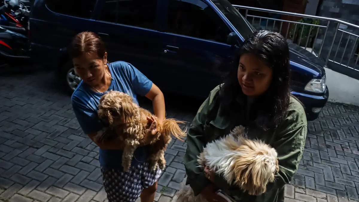 Vaksinasi rabies pada anjing perlu dilakukan untuk mencegah penyakit. (M Ihsan/Radar Solo)