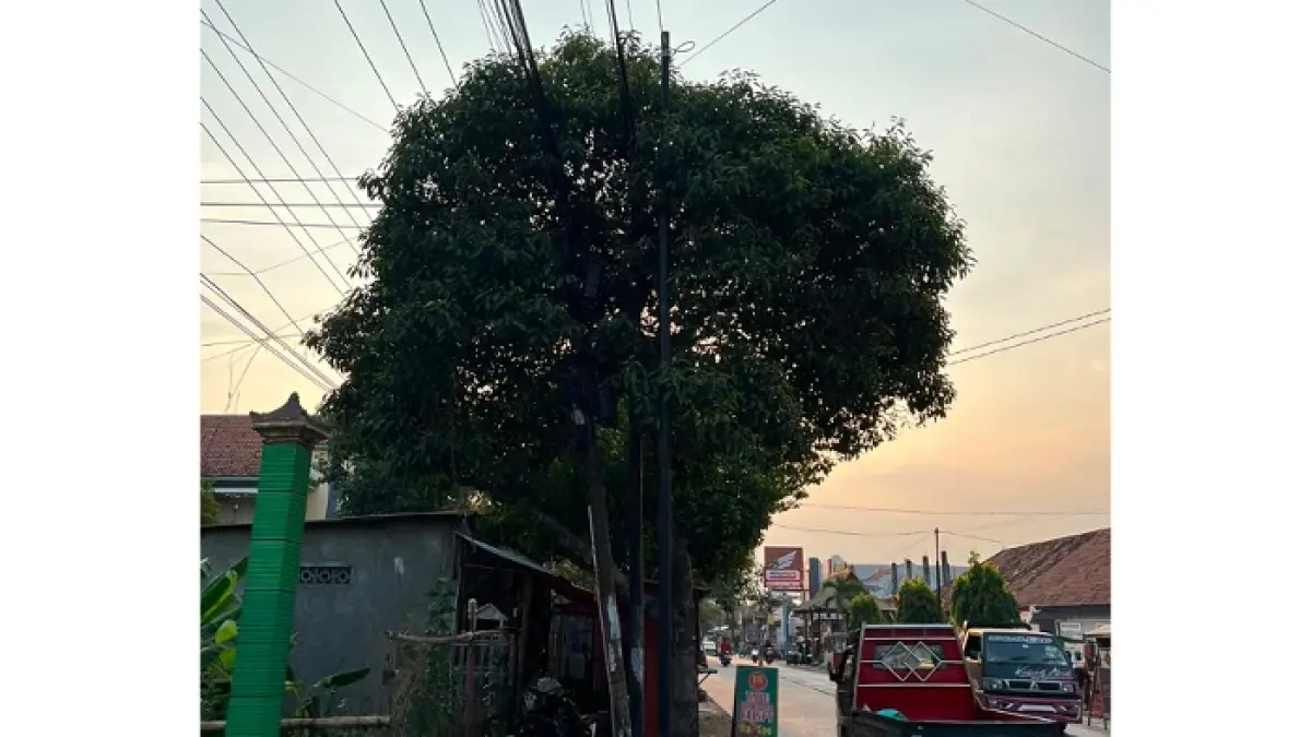 Tiang jaringan internet di Gemolong, Sragen. Kabel menjulur menyebabkan pengendara terjerat. (Ahmad Khairudin/Radar Solo)