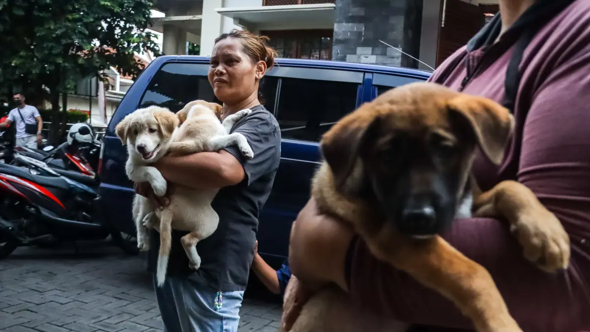 Pemilik anjing antre untuk mendapatkan vaksin rabies di Solo. (M Ihsan/Radar Solo)