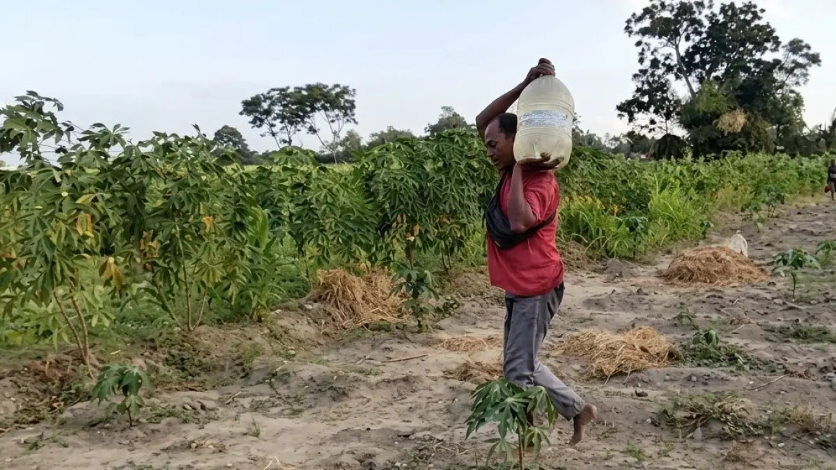 Sunarto, petani Desa Randusari, Kecamatan Teras, Boyolali menggotong galon isi air untuk menyiram tanaman pepaya, Minggu (13/9/2026). (ABDUL KHOFID/RADAR SOLO)