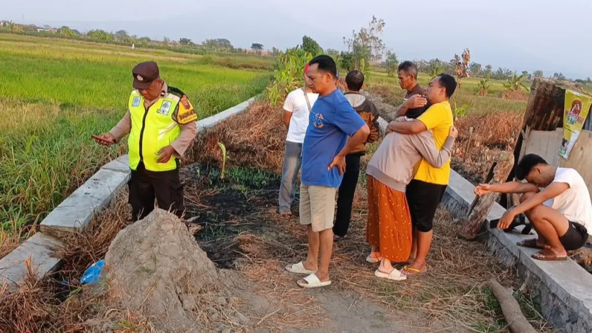 Lokasi penemuan jasad Jiwo di area persawahan Dukuh Madusari, Desa Bendosari, Kecamatan Sawit, Boyolali, Rabu (16/9/2026). (ISTIMEWA)