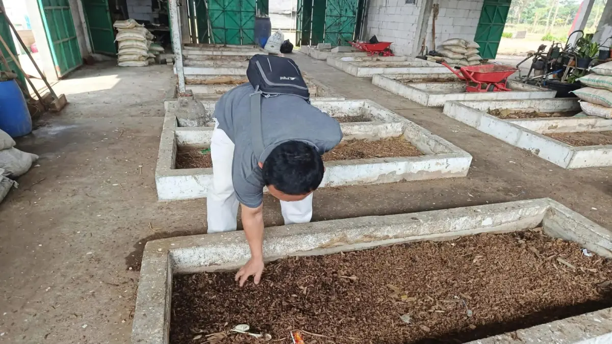 Tempat budi daya maggot di TPA Winong Boyolali. (ABDUL KHOFID/RADAR SOLO)
