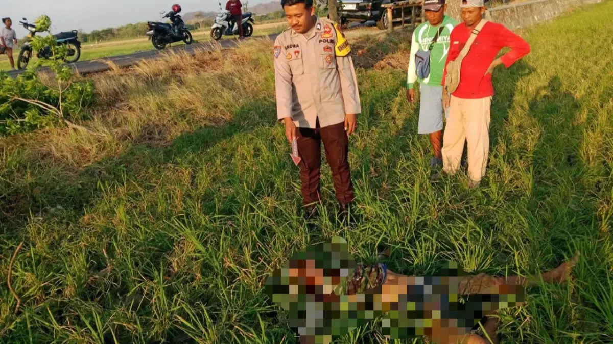 Seorang pedang ditemukan meninggal di area persawahan Desa Pule, Kecamatan Selogiri, Wonogiri, Minggu (20/9/2026). (DOK.POLRES WONOGIRI)