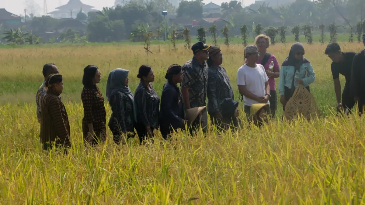 Bupati Klateng Hamenang Wajar Ismoyo (pakai topi) hadir dalam tradisi Wiwitan. (M.IHSAN/RADAR SOLO)