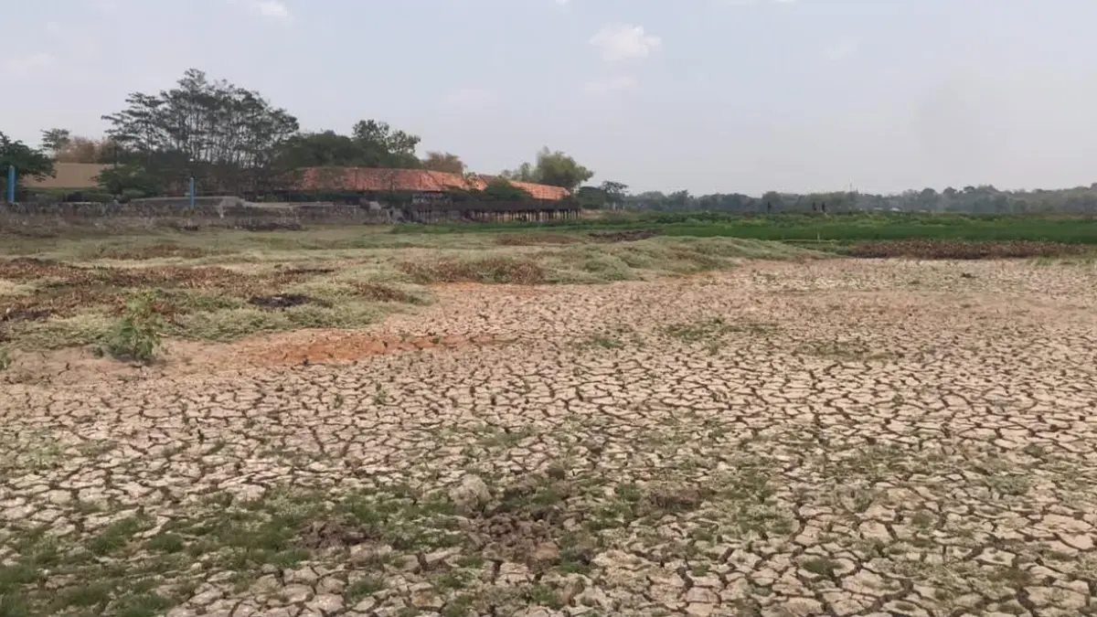 Kondisi terbaru Waduk Cengklik Boyolali yang mengalami penurunan debit air yang cukup parah. (ABDUL KHOFID/RADAR SOLO)