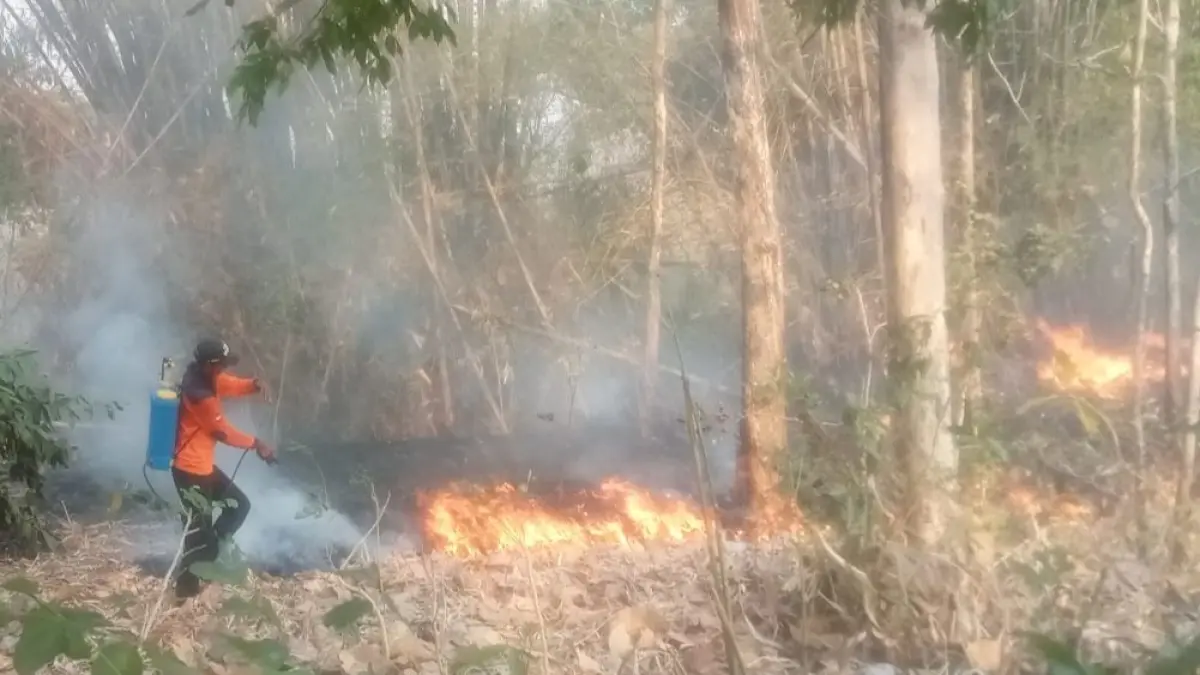 Penanganan kebakaran di Kecamatan Selogiri, Wonogiri, Selasa (29/9/2025). (ISTIMEWA)