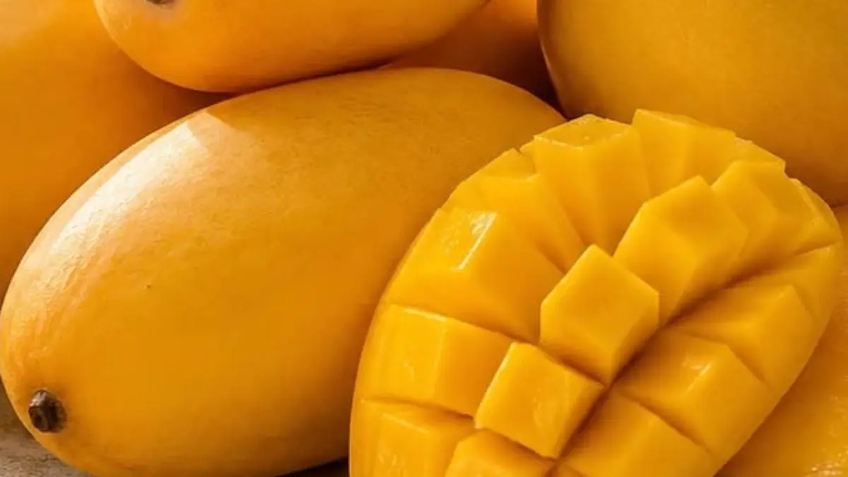Tips Memilih Mangga yang Manis, Harum dan Dagingnya Tebal. (@pinterest)