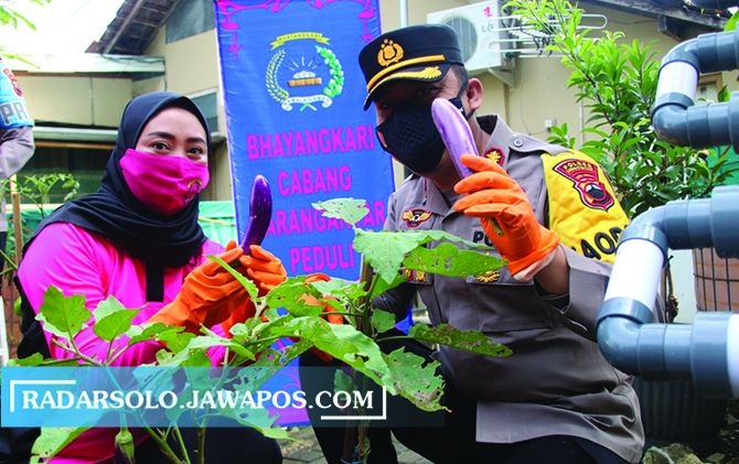 BERI CONTOH: Kapolres Karanganyar AKBP Much Syafi Maulla dan Ketua Bhayangkari Mila Syafi Maulla panen sayur. (RUDI HARTONO/RADAR SOLO)