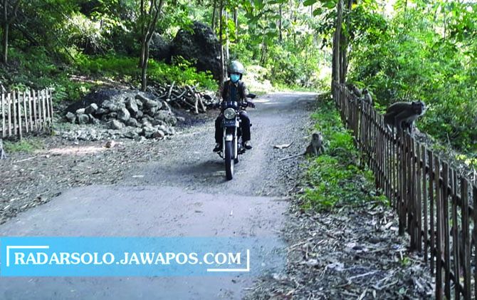 ATTACHMENT DETAILS  lapar-kera-gunung-jarah-roti-alat-pertukangan-dan-paku_m_249528.jpg March 25, 2021 90 KB 670 by 421 pixels Edit Image Delete permanently Alt Text Describe the purpose of the image(opens in a new tab). Leave empty if the image is purely