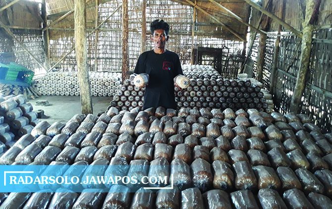 ULET: Landung di tempat produksi baglog jamur di Jogosari, RT 3 RW 10, Gayam, Sukoharjo Kota. (IWAN KAWUL/RADAR SOLO)