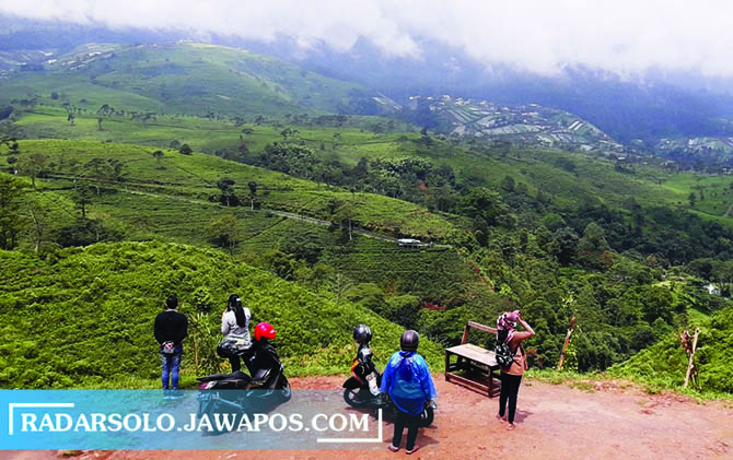 MENAWAN: Lokasi yang akan dibangun sky bridge di kawasan kebun teh Kemuning, Ngargoyoso. Wisatawan dapat menikmat layaknya layaknya bukit teletubbies. (RUDI HARTONO/RADAR SOLO)
