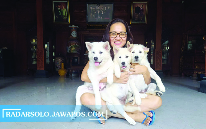 MAKIN DEKAT: Endah Dwi Palupi bersama anjing jenis kintamani peliharaaannya. (A CHRISTIAN/RADAR SOLO)