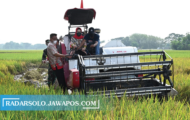 Bupati Etik Suryani hadiri panen raya di Desa Tangkisan, Kecamatan Tawangsari, Jumat (11/6).
