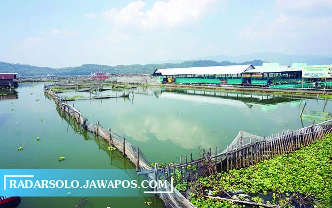 REVITALISASI: Kawasan Rowo Jombor yang akan direvitalisasi tahap kedua, salah satunya dikembalikan fungsi sebagai saluran irigasi dan pengendali banjir.