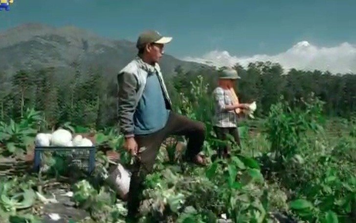 Masyarakat Desa Batur, Kecamatan Getasan, Kabupaten Semarang kian sejahtera dengan kebeadaan Bumdes Mutiara Arta.