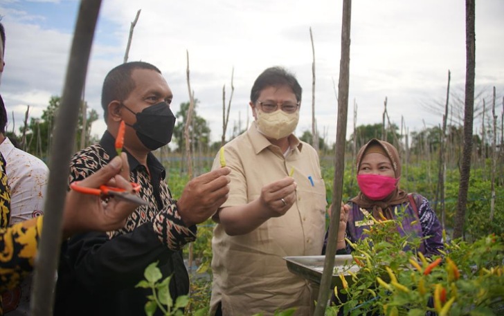 Menko Airlangga ikut memanen hasil pertanian dengan para petani yang tergabung dalam Kelompok Tani Ngudi Rahayu dari Kelurahan Syamsudin Noor, Kecamatan Landasan Ulin, Kota Banjarbaru.