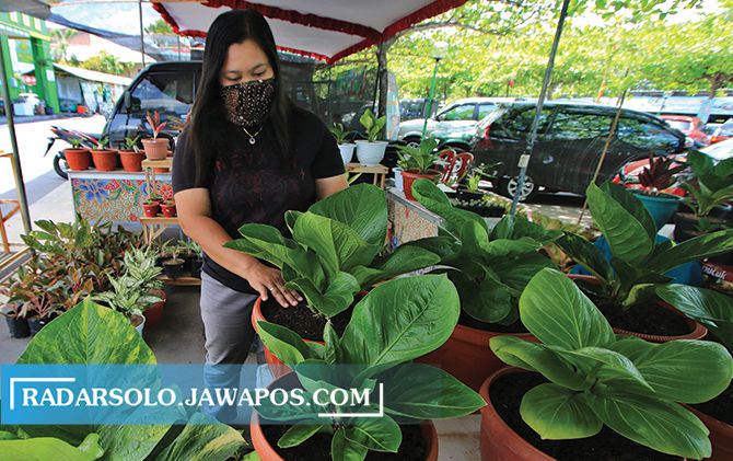 HOBI: Dian Wahyu, guru SMA di Kota Makmur yang menekuni bisnis tanaman hias.&nbsp;