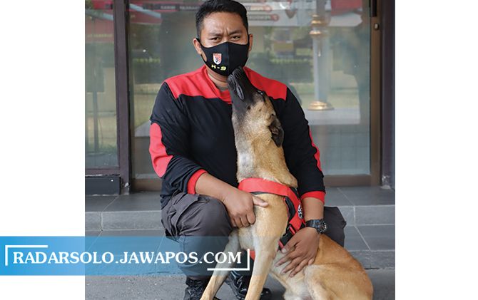 Bripka Andika bersama anjing pelacak yang baru didatangkan dari Belanda pekan kemarin.