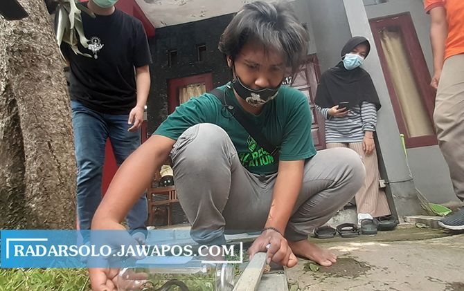 Anggota komunitas Exotic sedang mengamankan ular.