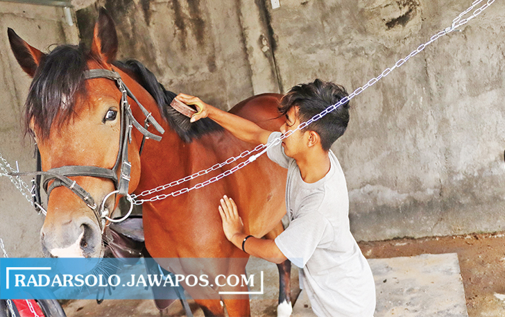 NURUT: Ahmad Tsalits Miftah Nurhani bersama kuda yang ada di stable Solo Equestrian. (M. IHSAN/RADAR SOLO)