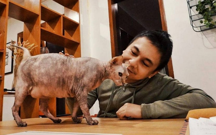 Raditya Dika bersama Kucingnya. (Instagram @raditya_dika)