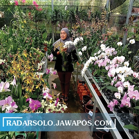 MENYEGARKAN MATA: Trystan bersama beberapa anggrek koleksinya yang dia simpan di rumahnya. (ISTIMEWA)