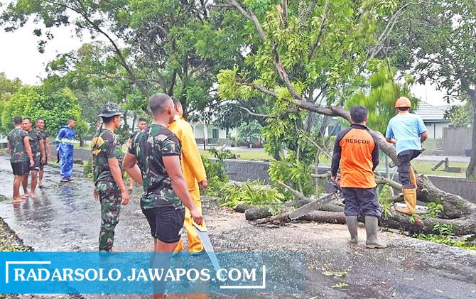 Personel BPBD Sragen bersama anggota TNI evakuasi pohon roboh di KampungWidoro, Kelurahan Sragen Wetan, Kecamatan Sragen, Selasa (26/1).