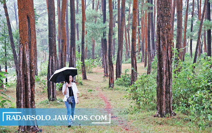 LEPAS PENAT: Salah seorang pengunjung, Christina Agustin menikmati panorama alam Hutan Pinus Suwondo di Kecamatan Wuryantoro, Wonogiri. (IWAN ADI LUHUNG/RADAR SOLO)
