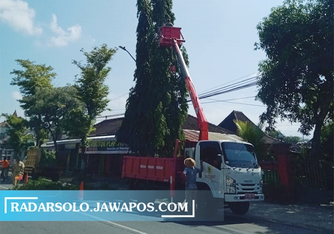 PERAWATAN: Pohon turus jalan di wilayah Wonogiri dipangkas, Rabu (29/9). (IWAN ADI LUHUNG/RADAR SOLO)