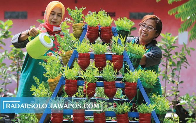 URBAN farming kini sedang menjadi tren di masa pandemi. Seperti dilakoni Kelompok Wanita Tani (KWT) Dahlia 9 di Kelurahan Pucangsawit, Jebres.