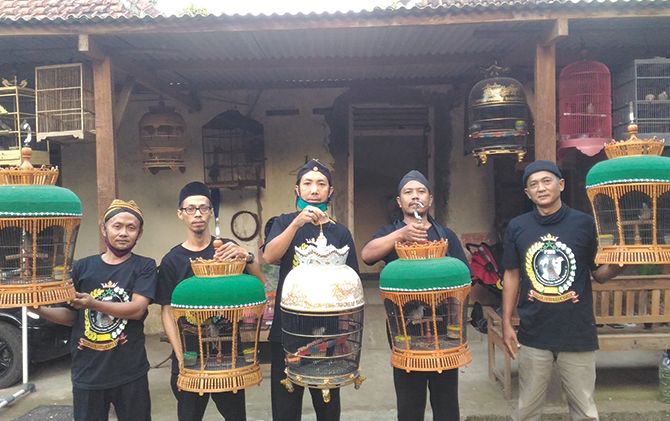 Burung berkicau yang digemari Kicau Mania tak hanya Lovebird atau Murai. Buktinya, di Boyolali ada ribuan Kicau Mania yang hobi memelihara burung perkutut. Mereka juga eksis menggelar perlombaan tingkat nasional. Seperti apa?