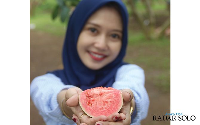 Jambu merah