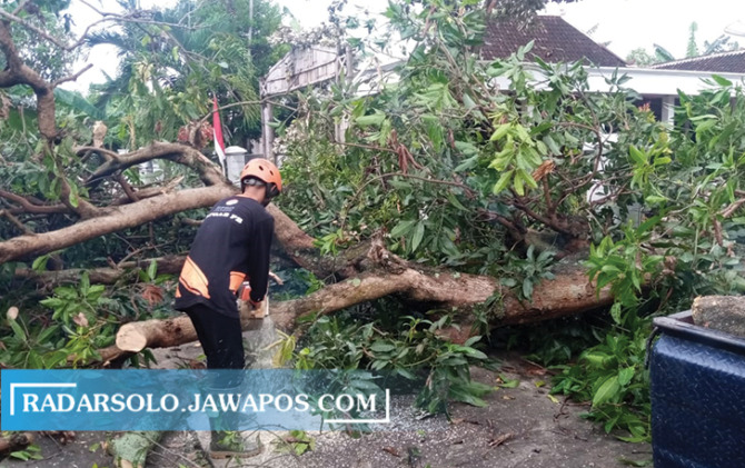 Petugas melakukan penanganan pohon tumbang akibat hujan deras dan angin kencang yang menerjang Sukoharjo, Jumat (22/10). (IWAN KAWUL/RADAR SOLO)