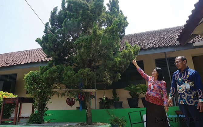 Kepala SMPN 1 Trucuk Titin Windiyarsih (kiri) menunjukkan lokasi sarang Vespa Affinis pada pohon cemara di halaman sekolah