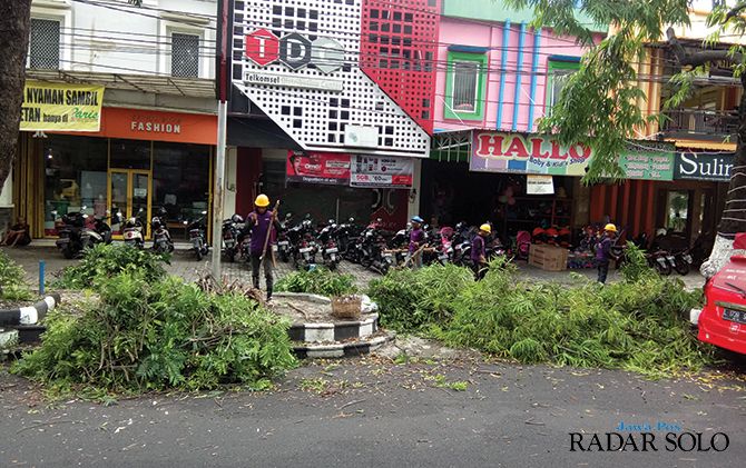 Pemkab Sragen mulai memangkas dahan pohon di kawasan Kota Sragen. Hal ini untuk mencegah pohon tumbang saat ada angin ribut