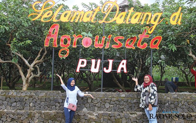 Agrowisata kebun jambu di Desa Jatirejo, Kecamatan Ngargoyoso, Karanganyar.