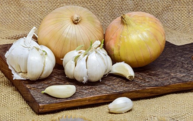 Kulit bawang putih dan bawang bombay memiliki banyak manfaat untuk dikonsumsi. (ANTARA)