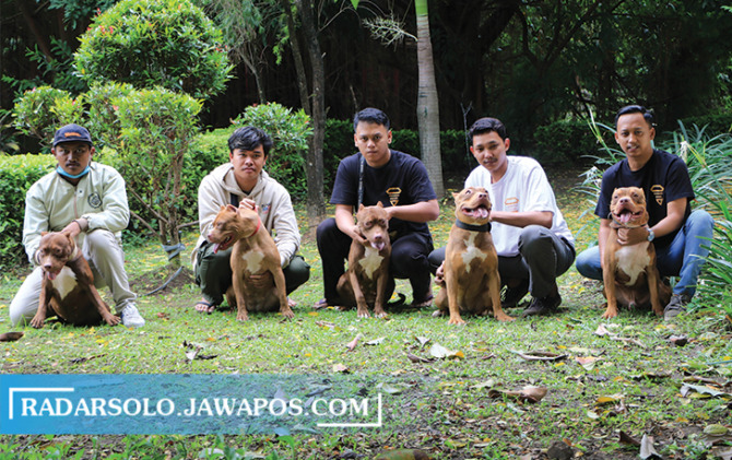 SANGAR: Penggemar pitbull berpose di Taman Sekartaji, Sabtu (4/12) kemarin. (ARIEF BUDIMAN/RADAR SOLO)