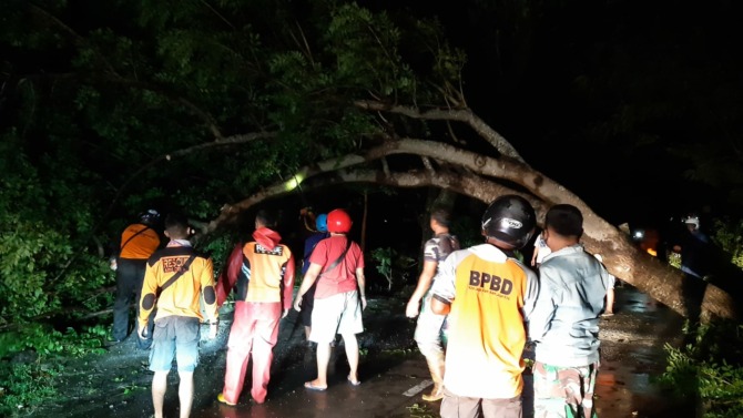 EKSTREM: Evakuasi pohon tumbang akibat tak kuat dihempas hujan dan angin, Senin (21/2). (ISTIMEWA)