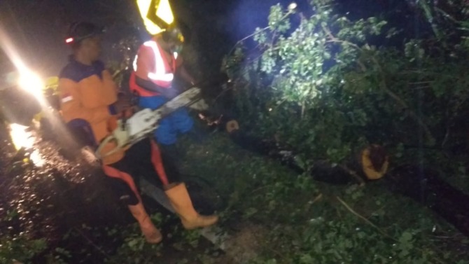 DAMPAK HUJAN DERAS: Penanganan pohon tumbang di ruas jalan Gunung Pegat, Kecamatan Nguntoronadi Sabtu (12/2) malam. (IWAN ADI LUHUNG/RADAR SOLO)