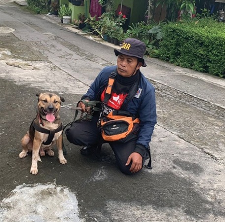 BAWA ANJING PELACAK: Personel damkar Satpol PP patroli mengusir kera liar. (ISTIMEWA)