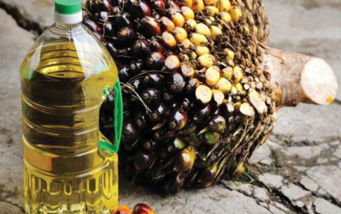 Ilustrasi tandan buah segar kelapa sawit dan minyak sawit mentah (CPO). (Jawa Pos.com)