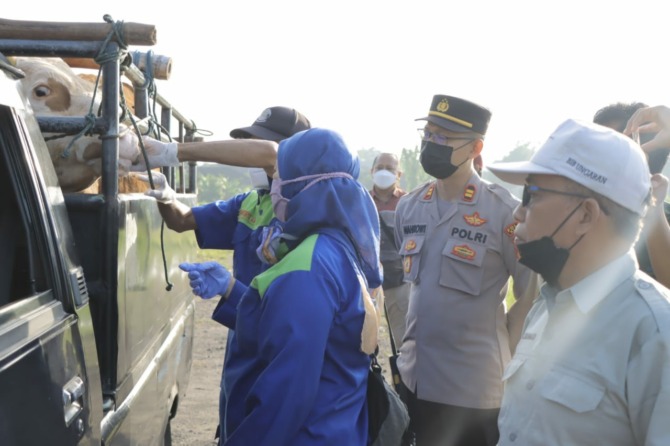 ANTISIPASI: Jajaran Polres Klaten bersama Dinas Ketahanan Pangan dan Pertanian (DKPP) Klaten melakukan pemeriksaan kesehatan terhadap hewan sapi di sejumlah pasar hewan di Klaten (DOKUMENTASI POLRES KLATEN)