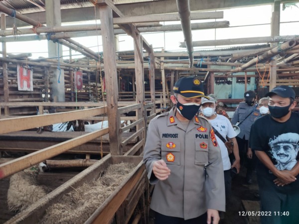 CEK LANGSUNG: Kapolsek Pasar Kliwon AKP Achmad Riedwan Prevoost bersama anggota mengecek kondisi hewan ternak di Pasar Kambing Semanggi, Sabtu (14/5). (ANTONIUS CHRISTIAN/RADAR SOLO)