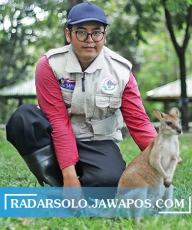 MUNGIL: Si Kanguru Mini asal Papua yang juga dikenal dengan nama Walabi Tanah bersama Kurator Taman Satwa Taru Jurug (TSTJ), Ontowiryo Muhammad Panru. (M. IHSAN/RADAR SOLO)